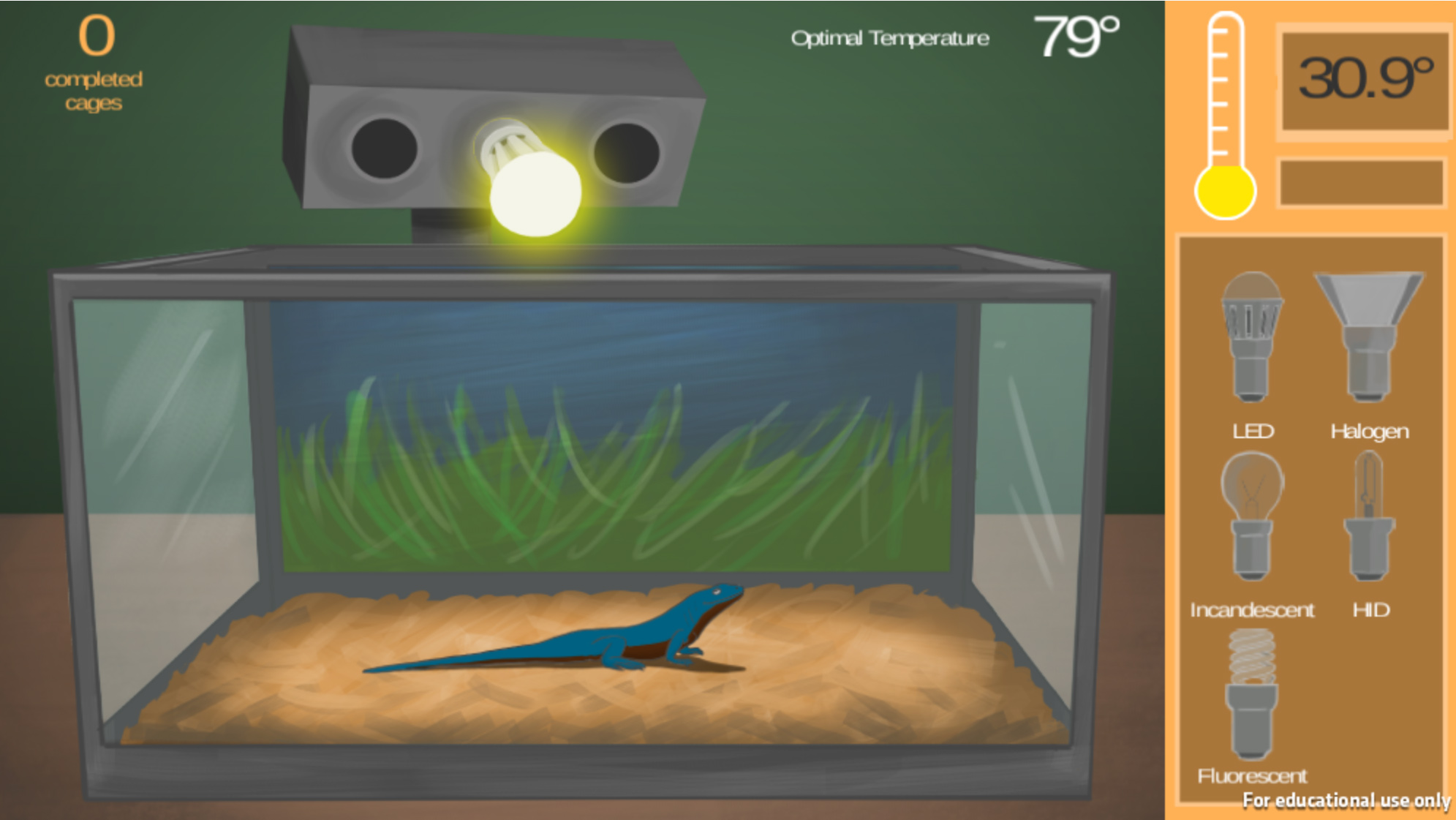 Lizard Lighting By Design Labs